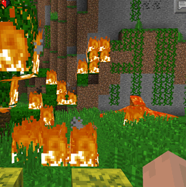Lava Forest Fire